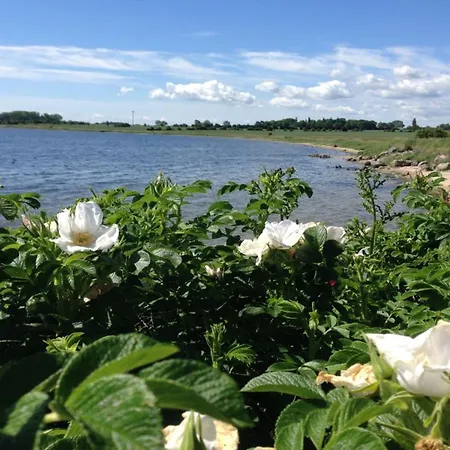 Schwedenhaus Am Kai 14i דירה